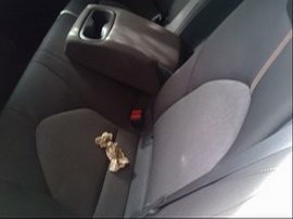 2019 TOYOTA CAMRY WHITE LE, 2.5L, AT.  Z24878